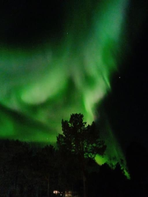 Koselig Og Moderne Leilighet, Meget Sentralt I Narvik Med Gratis Parkering! Buitenkant foto