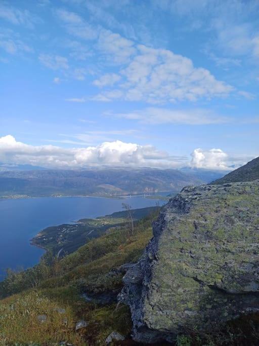 Koselig Og Moderne Leilighet, Meget Sentralt I Narvik Med Gratis Parkering! Buitenkant foto