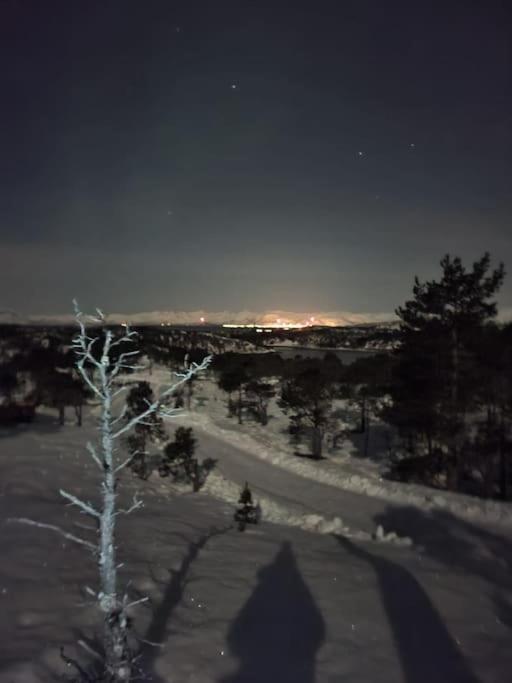 Koselig Og Moderne Leilighet, Meget Sentralt I Narvik Med Gratis Parkering! Buitenkant foto
