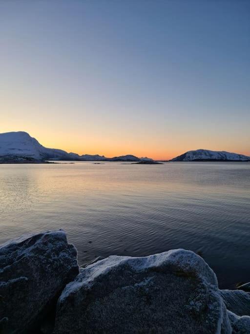 Koselig Og Moderne Leilighet, Meget Sentralt I Narvik Med Gratis Parkering! Buitenkant foto