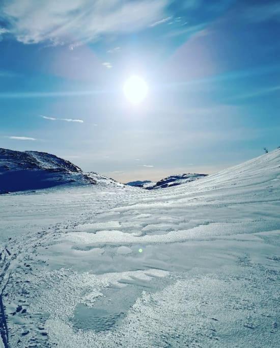 Koselig Og Moderne Leilighet, Meget Sentralt I Narvik Med Gratis Parkering! Buitenkant foto